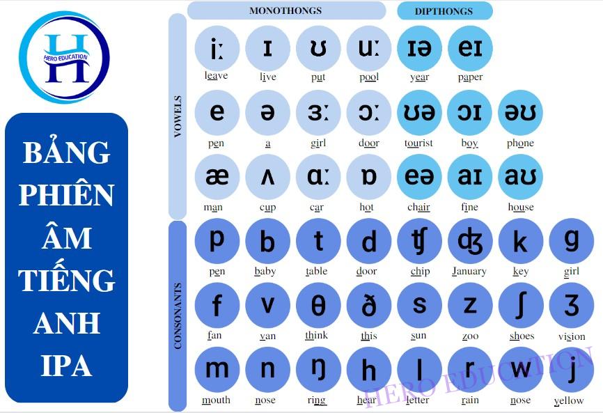 Bảng phiên âm quốc tế IPA – HERO EDUCATION